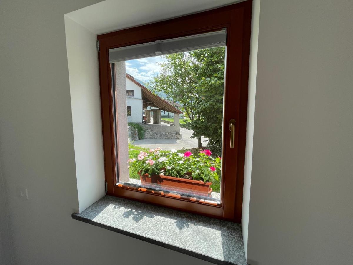 Apartma 7 - In The Heart Of Soca Valley Tolmin Eksteriør bilde